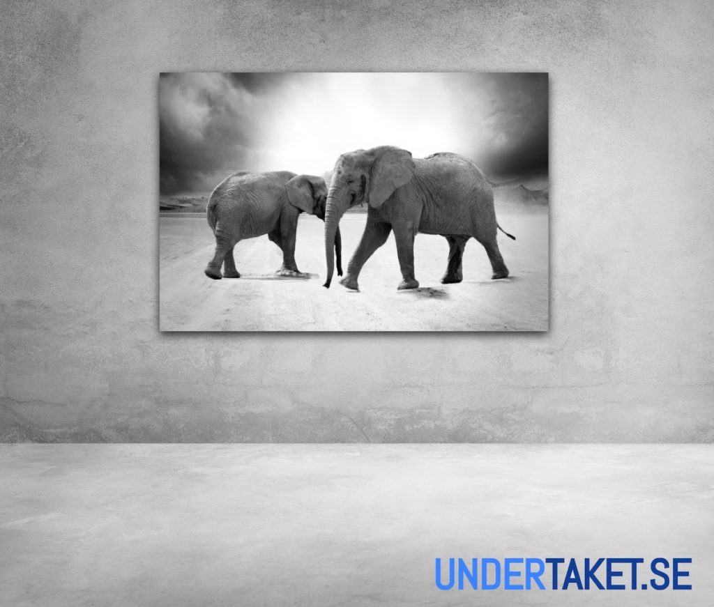 Undertaket.se