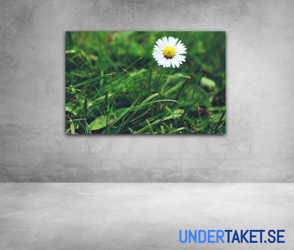 Undertaket.se
