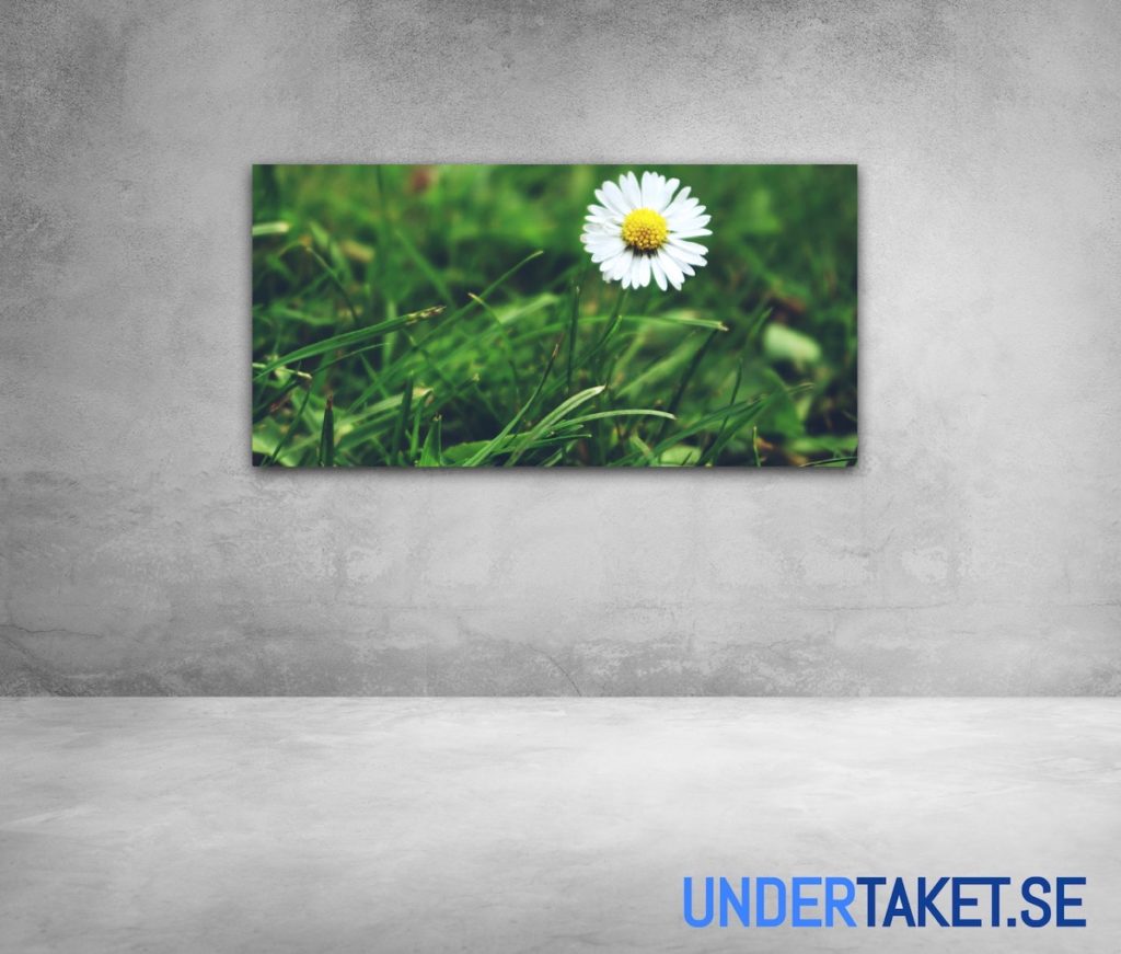 Undertaket.se